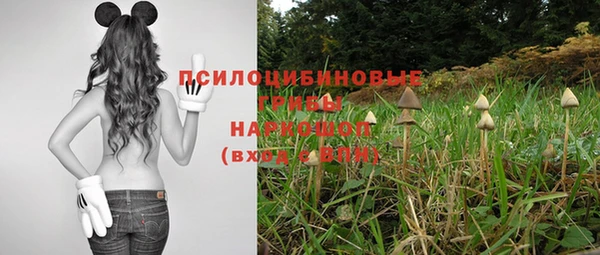 мяу мяу кристалл Медвежьегорск