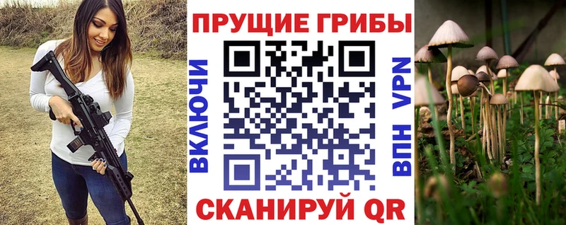 Псилоцибиновые грибы ЛСД  Катав-Ивановск 